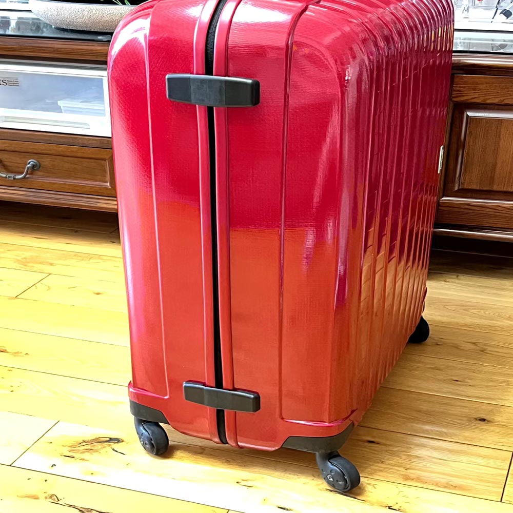 Suitcase Hinges Suitable for S - огляд і ціна Travel Accessories Samsonite